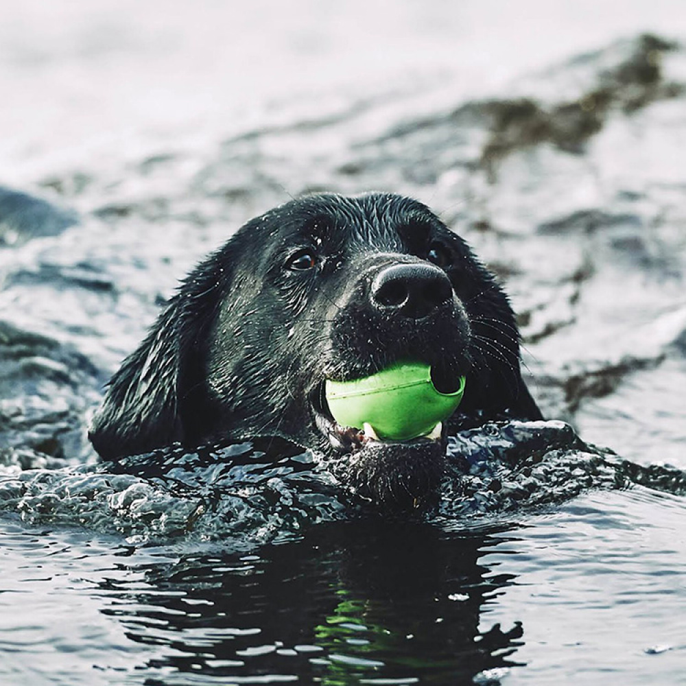 Aktivitetsball til hunden i gruppen Fritid / Kjæledyr / Hundesaker hos SmartaSaker.se (13280)