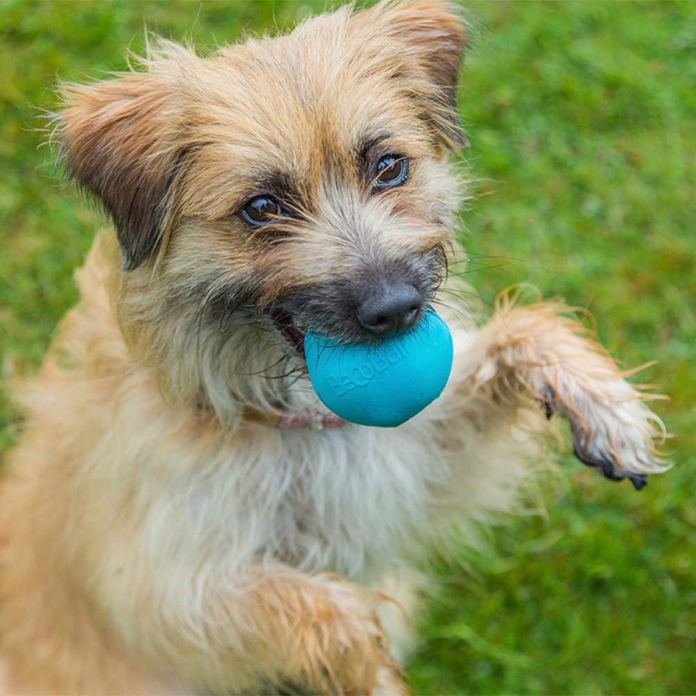 Aktivitetsball til hunden i gruppen Fritid / Kjæledyr / Hundesaker hos SmartaSaker.se (13280)