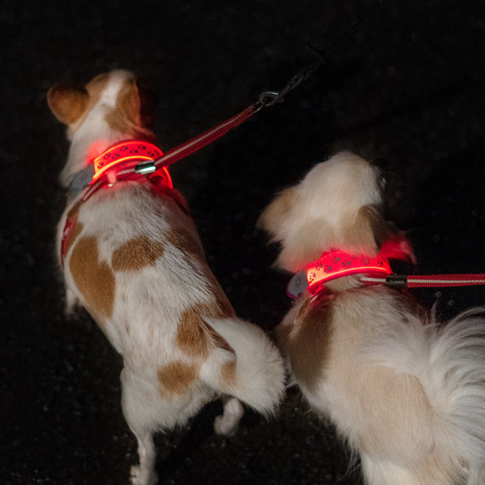 Reflekslys til hunden i gruppen Fritid / Kjæledyr / Hundesaker hos SmartaSaker.se (13367)