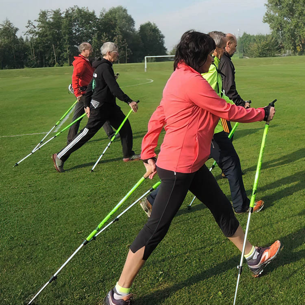 Treningsstaver med fjæring i gruppen Fritid / Trening hos SmartaSaker.se (13502)