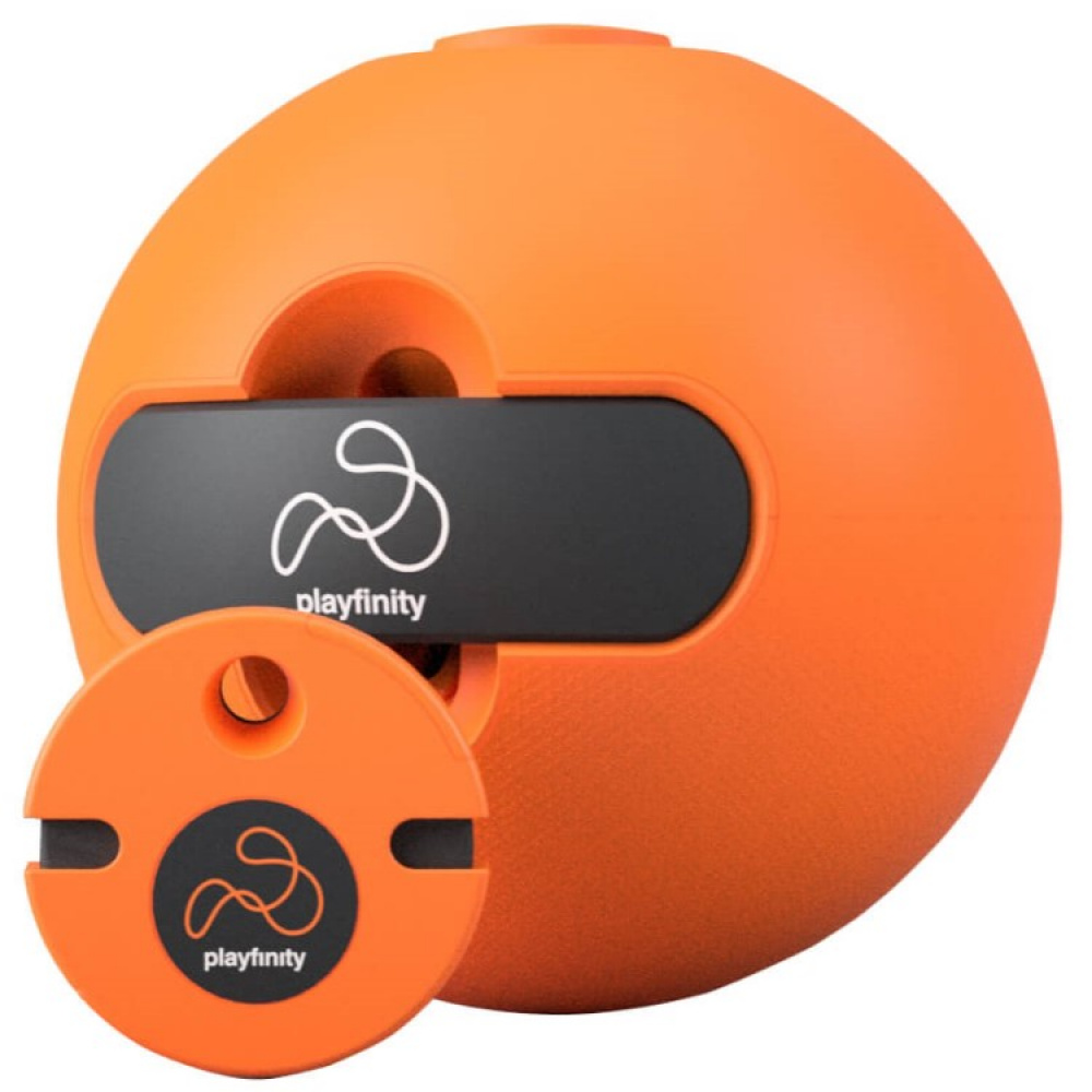 Aktivitetsspill med ball, Playfinity i gruppen Fritid / Spill hos SmartaSaker.se (13506)