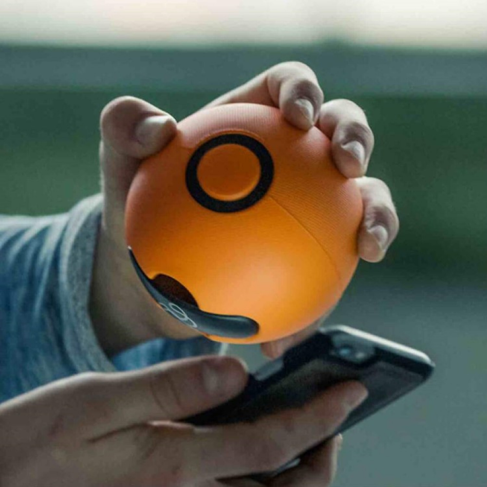 Aktivitetsspill med ball, Playfinity i gruppen Fritid / Spill hos SmartaSaker.se (13506)