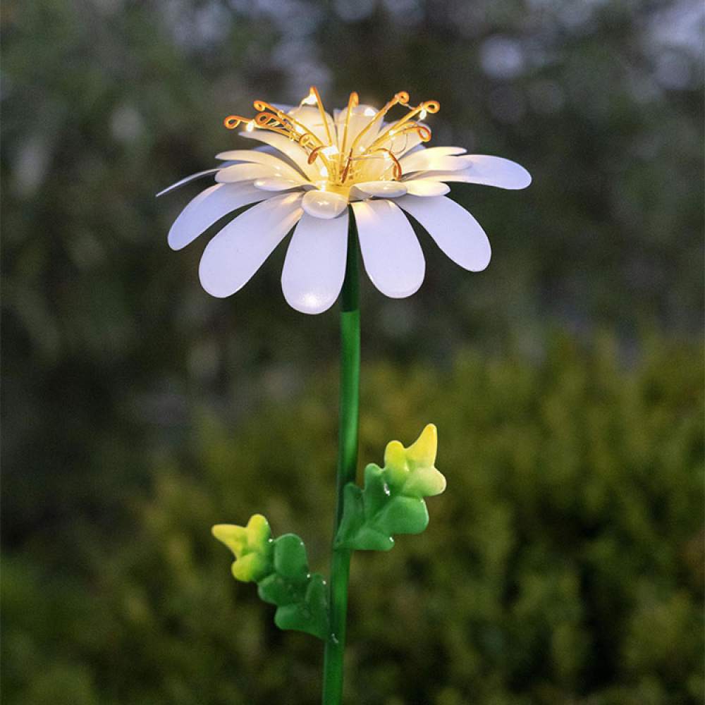 Solcelleblomst på spyd, Daisy i gruppen Belysning / Utendørs belysning / Solcelleladet belysning hos SmartaSaker.se (13525)