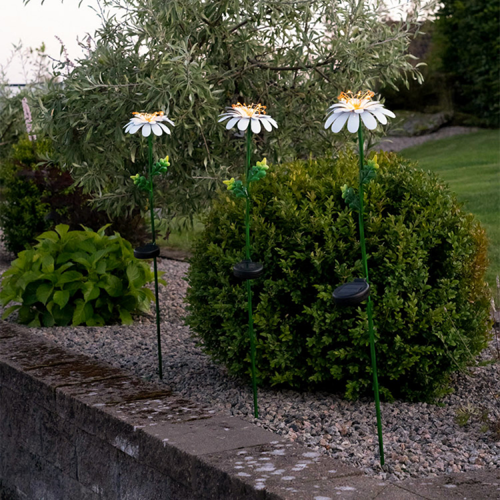 Solcelleblomst på spyd, Daisy i gruppen Belysning / Utendørs belysning / Solcelleladet belysning hos SmartaSaker.se (13525)