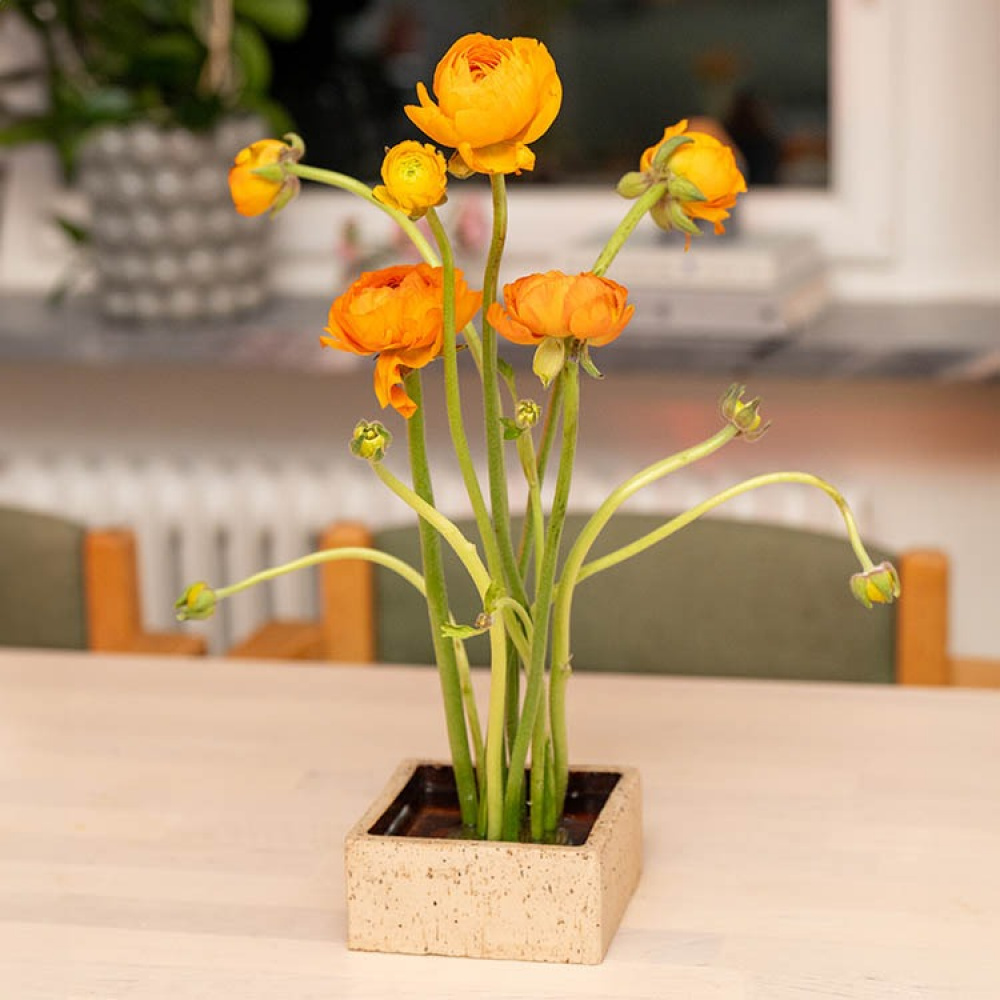 Blomsterfakir i gruppen Hjemmet / Innredning hos SmartaSaker.se (13574)