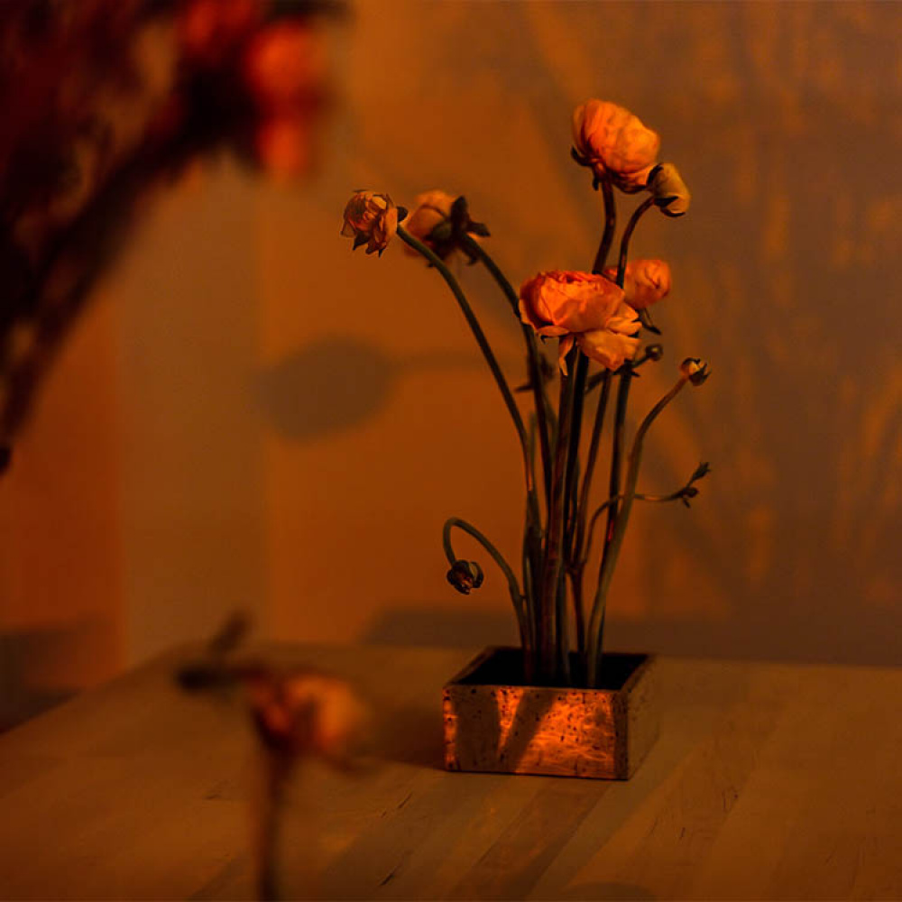 Blomsterfakir i gruppen Hjemmet / Innredning hos SmartaSaker.se (13574)