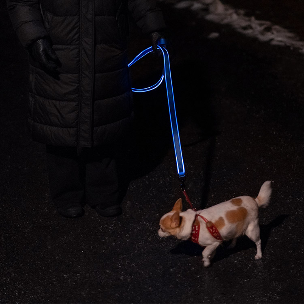 Oppladbart bånd i gruppen Fritid / Kjæledyr / Hundesaker hos SmartaSaker.se (13680)