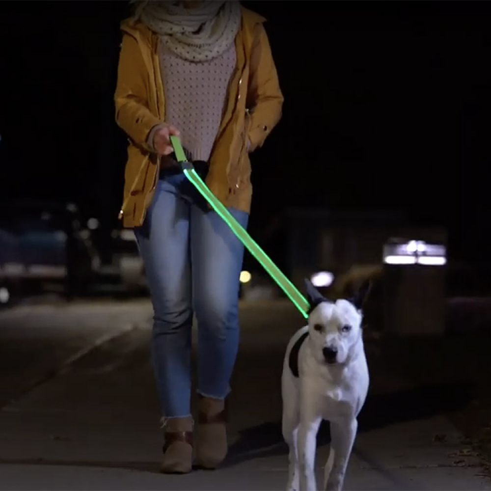 Oppladbart bånd i gruppen Fritid / Kjæledyr / Hundesaker hos SmartaSaker.se (13680)