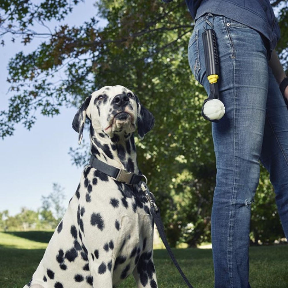 Sammenleggbar ballkaster med LED-ball i gruppen Fritid / Kjæledyr / Hundesaker hos SmartaSaker.se (13682)