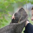 Vinterbeskyttelse til planter, ullteppe Vinterbeskyttelse til planter, ullteppe