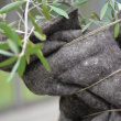 Vinterbeskyttelse til planter, ullteppe Vinterbeskyttelse til planter, ullteppe