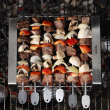 Grillspyd med stativ Grillspyd med stativ