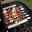 Grillspyd med stativ Grillspyd med stativ