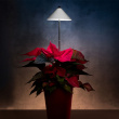 Plantelampe på stang 7W