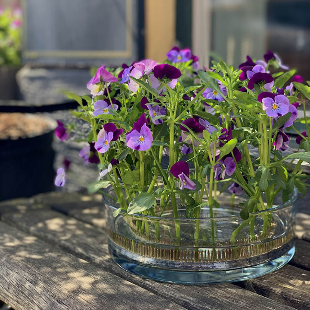 Blomsterfakir ring i gruppen Hjemmet / Innredning hos SmartaSaker.se (14115)