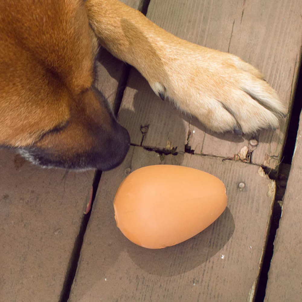 Hundeleke, sprettende egg i gruppen Fritid / Kjæledyr / Hundesaker hos SmartaSaker.se (14199)