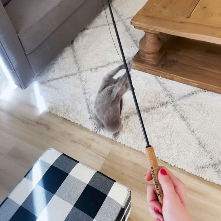 Holdbar katteleke i gruppen Fritid / Kjæledyr / Katteting hos SmartaSaker.se (14330)