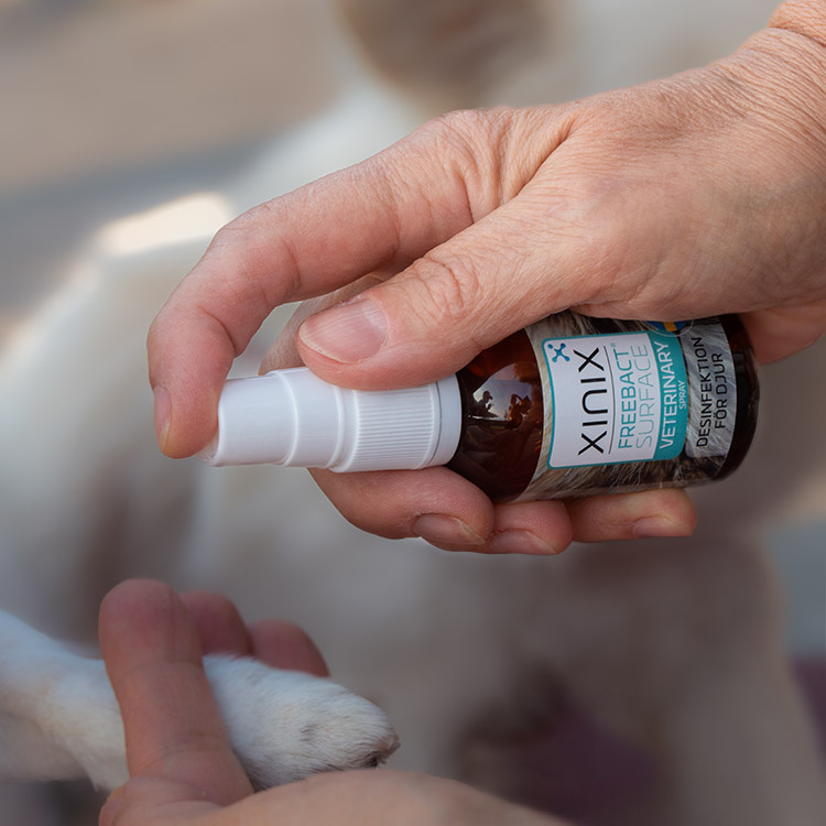 Desinfeksjonsspray for dyr, Xinix FreeBact Surface i gruppen Fritid / Kjæledyr hos SmartaSaker.se (14332)