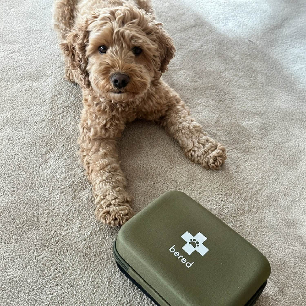 Førstehjelpsskrin for hund og katt, Bered i gruppen Fritid / Kjæledyr hos SmartaSaker.se (14359)