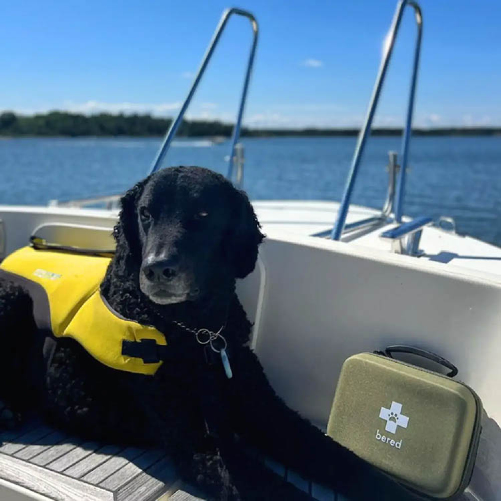 Førstehjelpsskrin for hund og katt, Bered i gruppen Fritid / Kjæledyr hos SmartaSaker.se (14359)