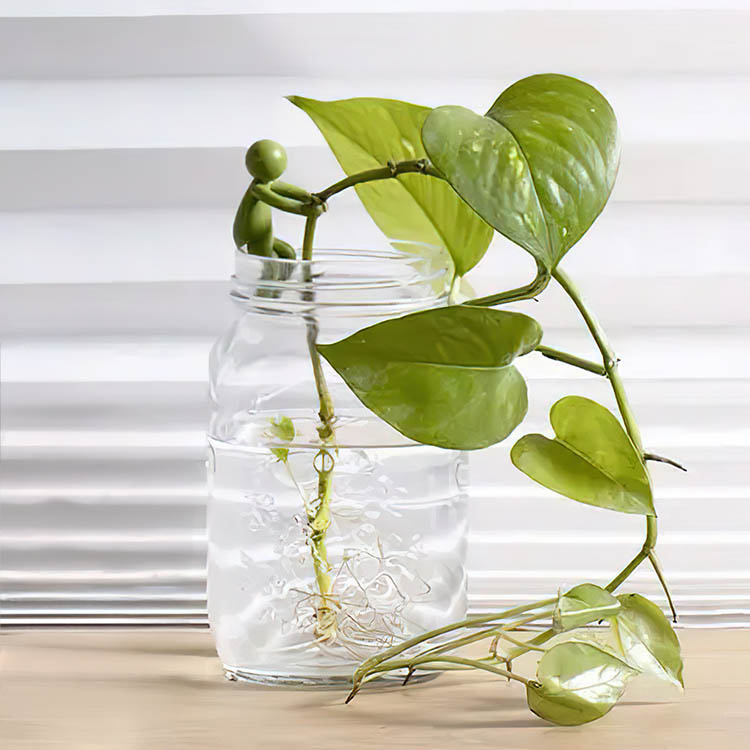 Plantestøtte for stiklinger, 3 stk. i gruppen Hjemmet / Hage hos SmartaSaker.se (14433)