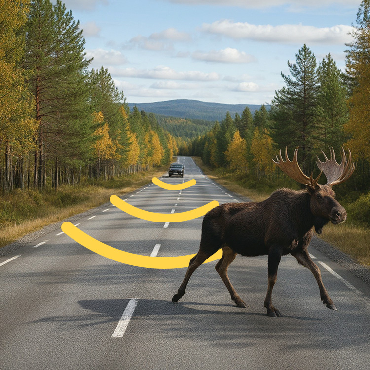 Viltvarsler til bilen i gruppen Kjøretøy / Biltilbehør hos SmartaSaker.se (14535)