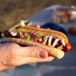 Pølsebrødrister til grillen Pølsebrødrister til grillen