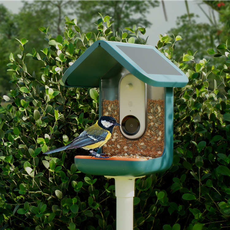 Fuglemater med kamera, Birdbuddy i gruppen Hage / Hus og Hotell hos SmartaSaker.se (14643)
