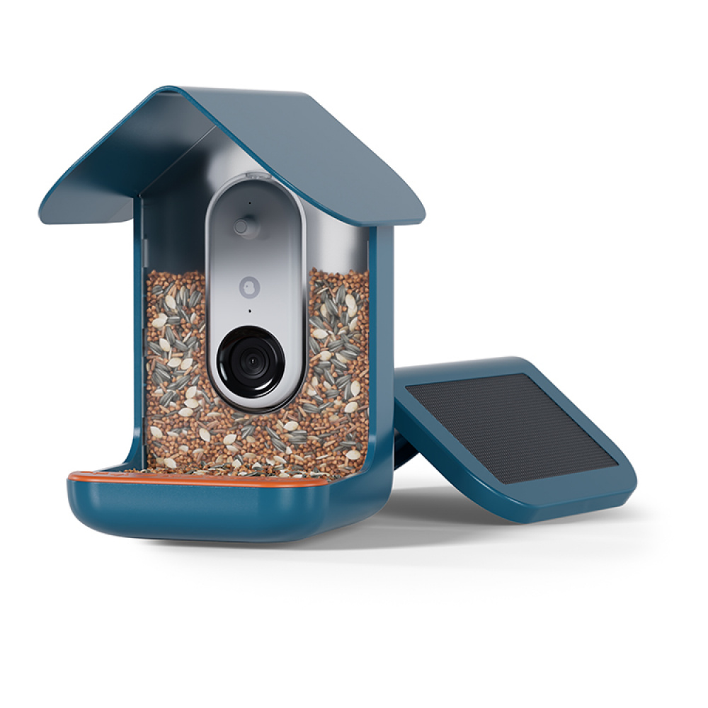 Fuglemater med kamera, Birdbuddy i gruppen Hage / Hus og Hotell hos SmartaSaker.se (14643)