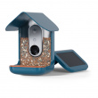 Fuglemater med kamera, Birdbuddy