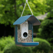 Fuglemater med kamera, Birdbuddy