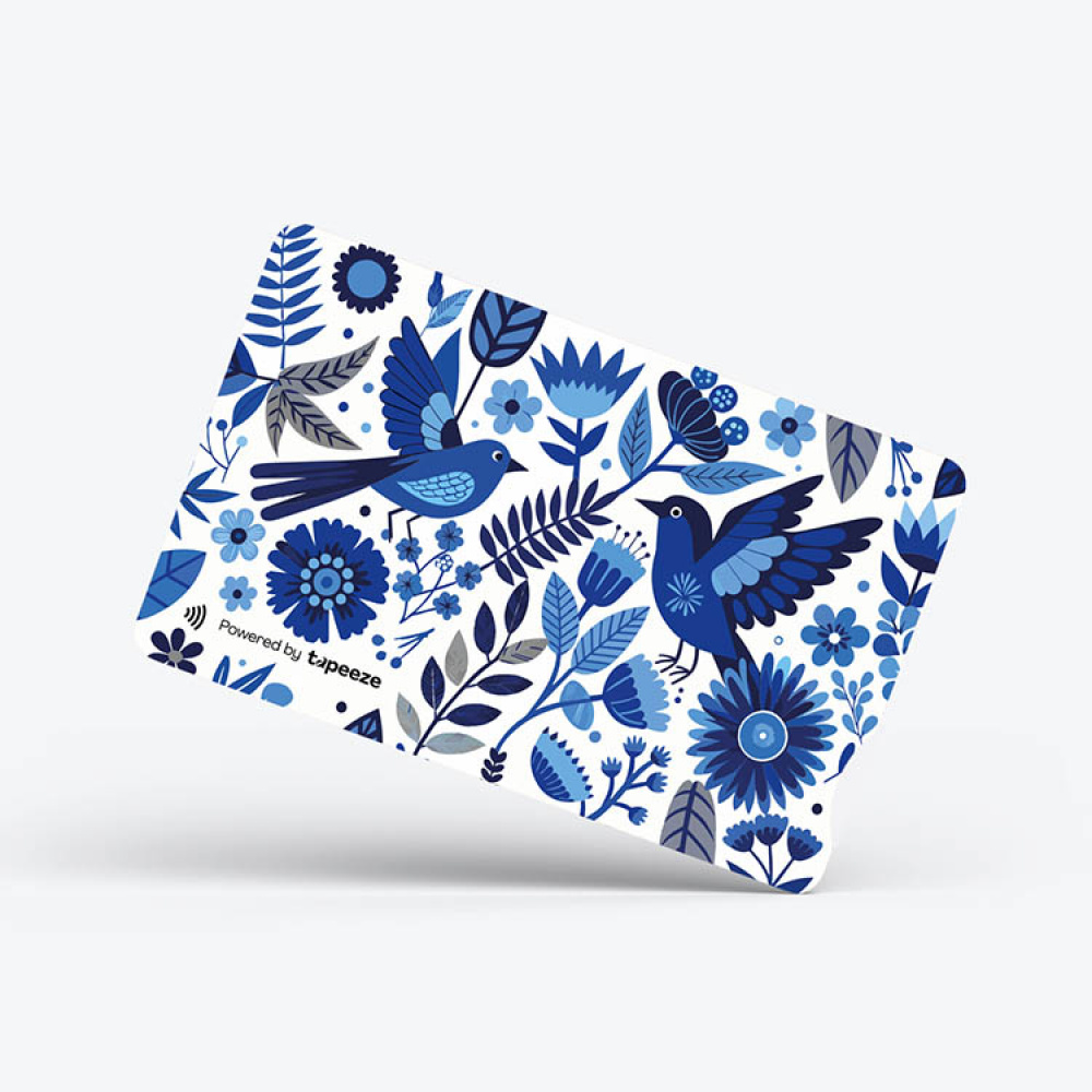 Debetkort Tapeeze i gruppen Hjemmet / Elektronikk / Hjemmeelektronikk hos SmartaSaker.se (14644)