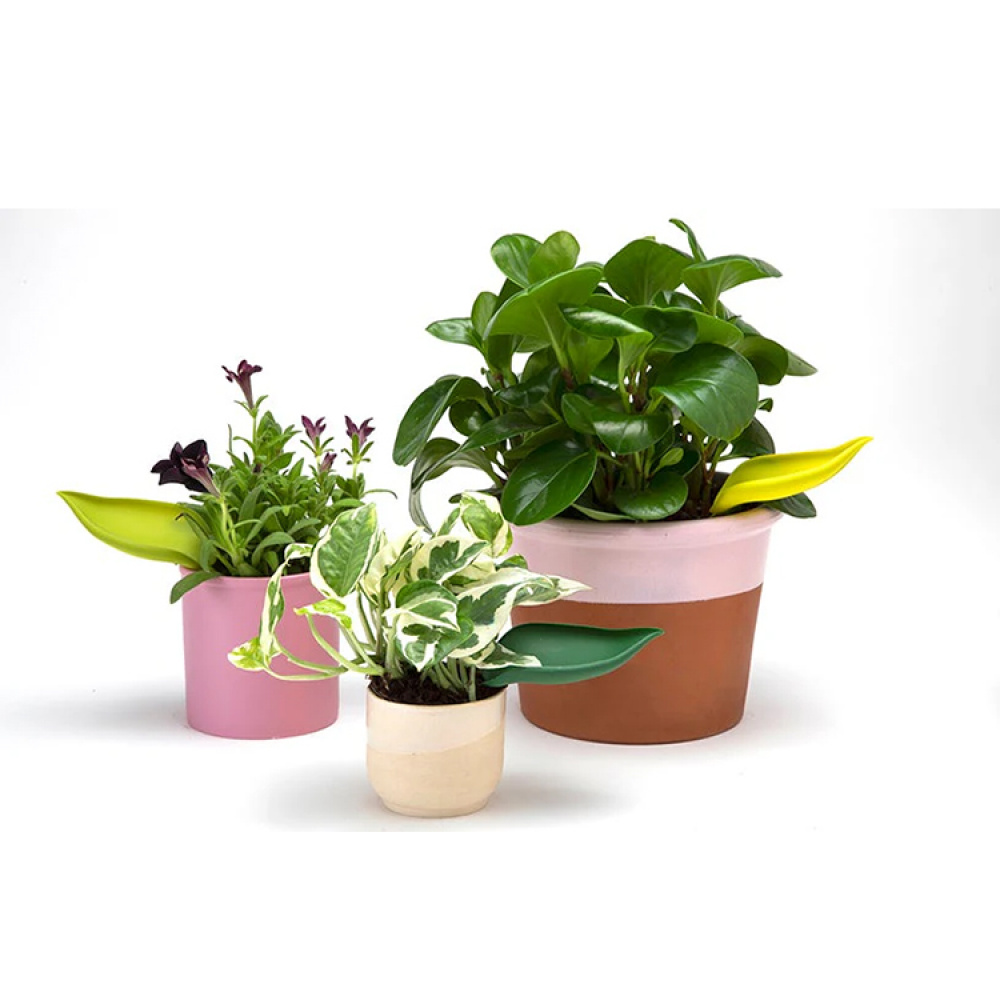 Vanningstrakt for krukke, 3-pakning i gruppen Hjemmet / Hage / Vanning hos SmartaSaker.se (14677)