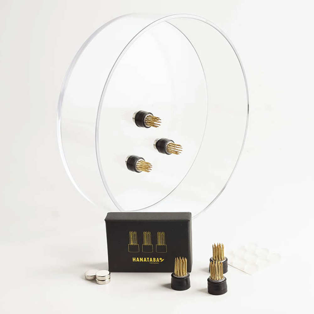 Magnetiske mini–blomsterfakirer 3-pakning i gruppen Hjemmet / Innredning hos SmartaSaker.se (14698)