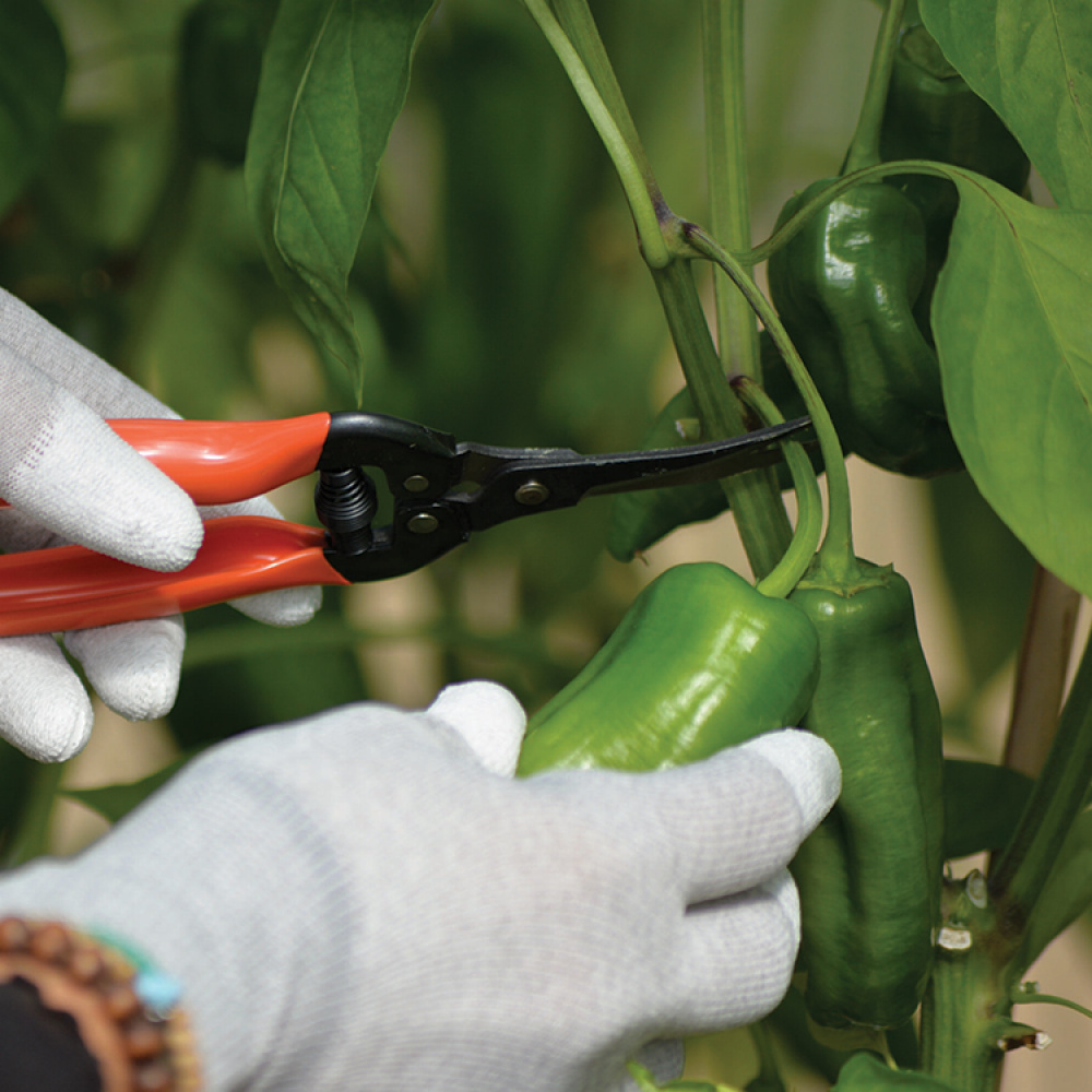 Høstesaks i gruppen Hjemmet / Hage / Dyrking hos SmartaSaker.se (14709)