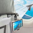 Mobilholder for fly