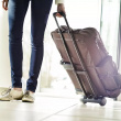 Sammenleggbar bagasjetralle, Go Travel