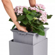 Selvvannende potte