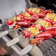 Grillspyd med holder