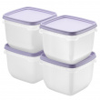 Fryseboks 0,75L 4-pakning, SmartStore