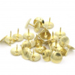 Tegnestifter, 100 stk, THUMB TACKS, Ø 9,5 mm, Gull