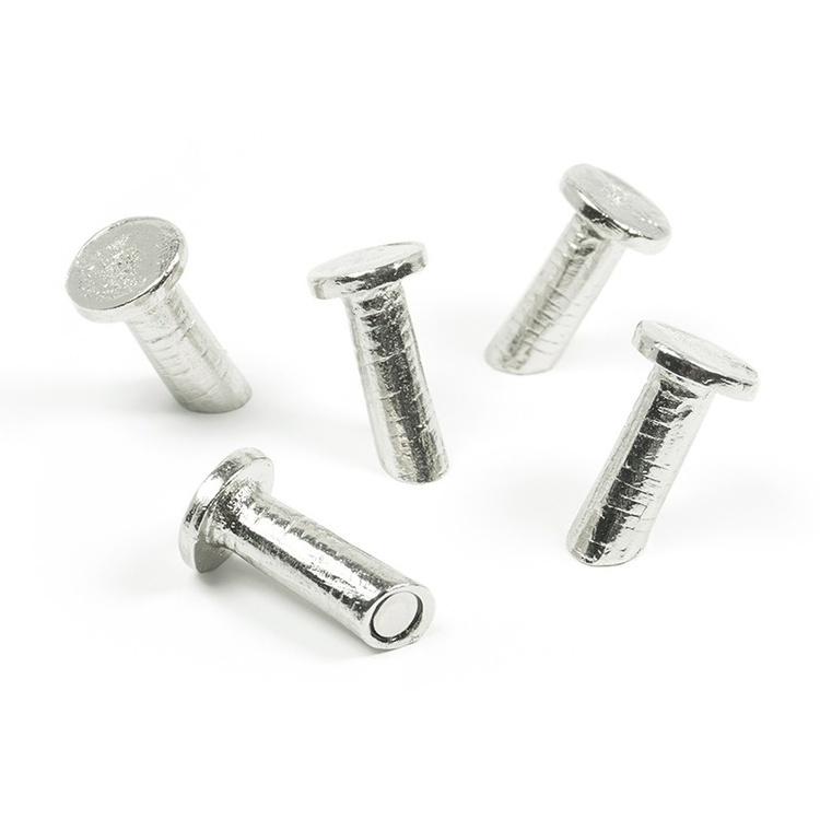 Magneter i form av spiker, 5 stk, NAIL, Ø 1,5 x H 2,8 cm, Sølv i gruppen Oppbevaring / Outlet hos SmartaSaker.se (41978)