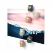 Magnetfigur 6-pack, Ugle