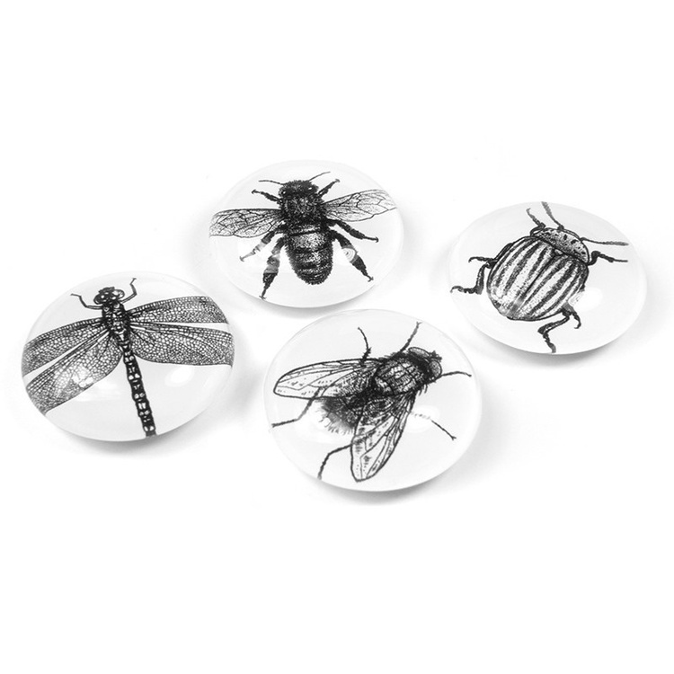 Glassmagneter 4-pakk, Insekter i gruppen Oppbevaring hos SmartaSaker.se (42009)