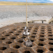 Liten magnet for magnetfiske, 2-pakk
