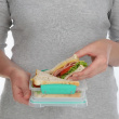 Smørbrødboks 0,45L, Sistema