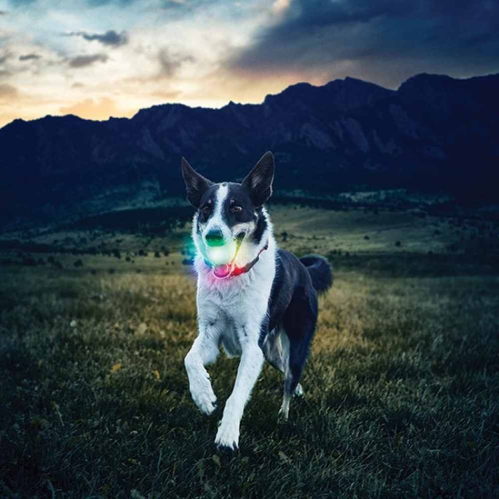 Lysende hundeball i gruppen Fritid / Kjæledyr / Hundesaker hos SmartaSaker.se (lima-278846)
