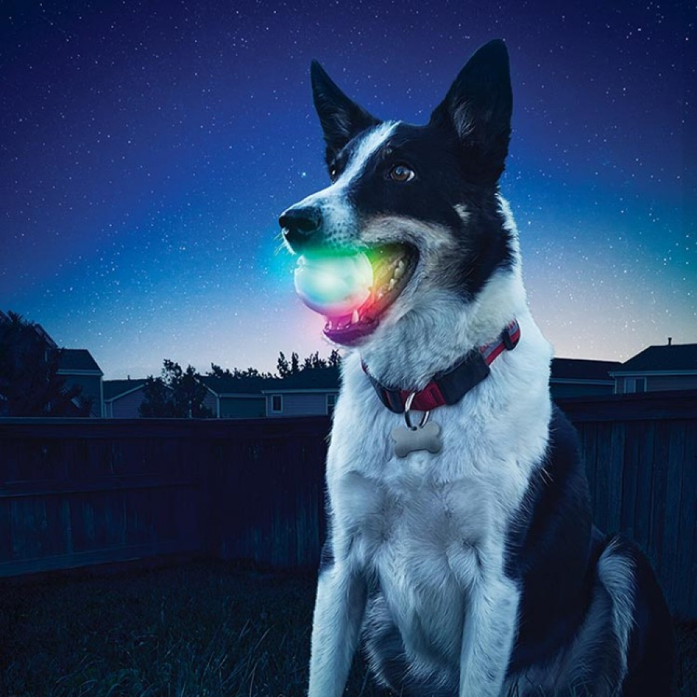 Lysende hundeball i gruppen Fritid / Kjæledyr / Hundesaker hos SmartaSaker.se (lima-278846)